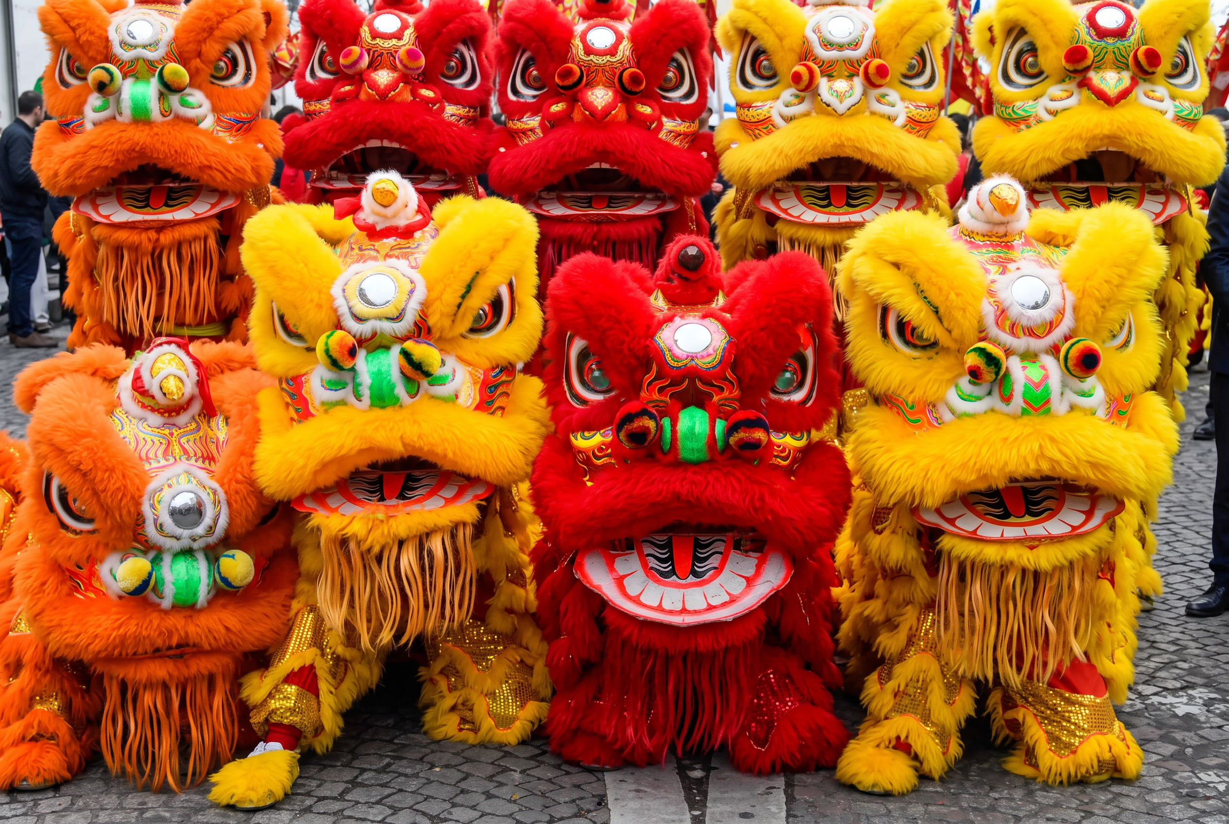 Danse chinoise, lion & dragon